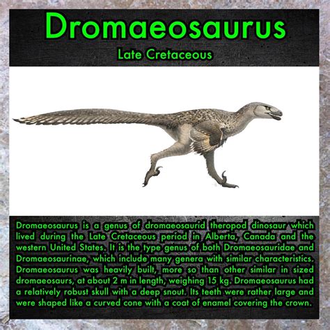 Dromaeosaurus : r/Dinosaurs