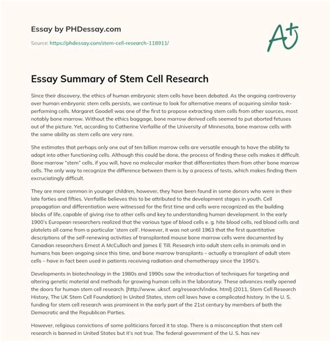 Essay Summary of Stem Cell Research - PHDessay.com