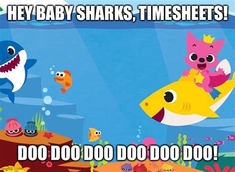 Baby Shark Timesheet Reminder - Imgflip