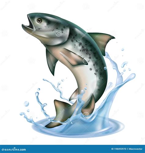 Fish Jumping Between Toilets Stock Image | CartoonDealer.com #7772251