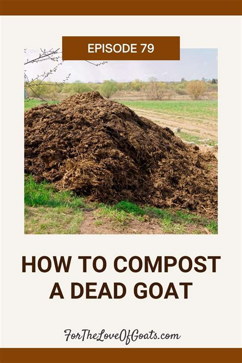 How to Compost a Dead Goat