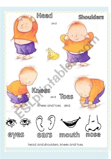 Head, shoulders knees and toes - Song - ESL worksheet by meivi02