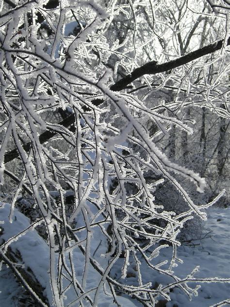 Lexington Weather: Will the Snow Melt? | Lexington, MA Patch