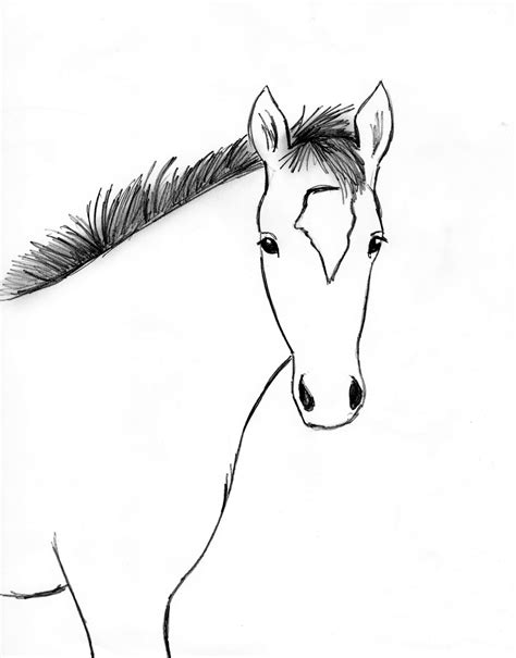 Horse Drawing Step By Step - Samantha Bell