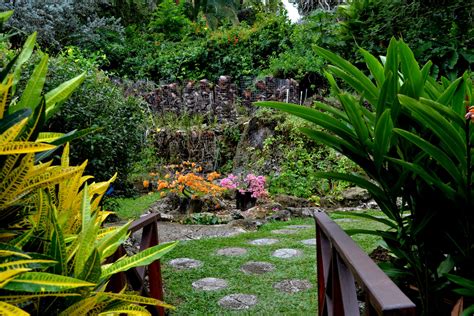 Andromeda Botanic Gardens, Bathsheba, BARBADOS: February 2012