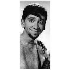 Maynard G. Krebs. The Krebs character, portrayed by actor Bob Denver ...