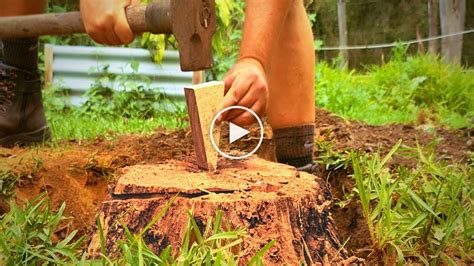 How to remove a tree stump with a wedge – Canvids