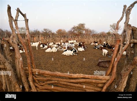 Himba kraal hi-res stock photography and images - Alamy