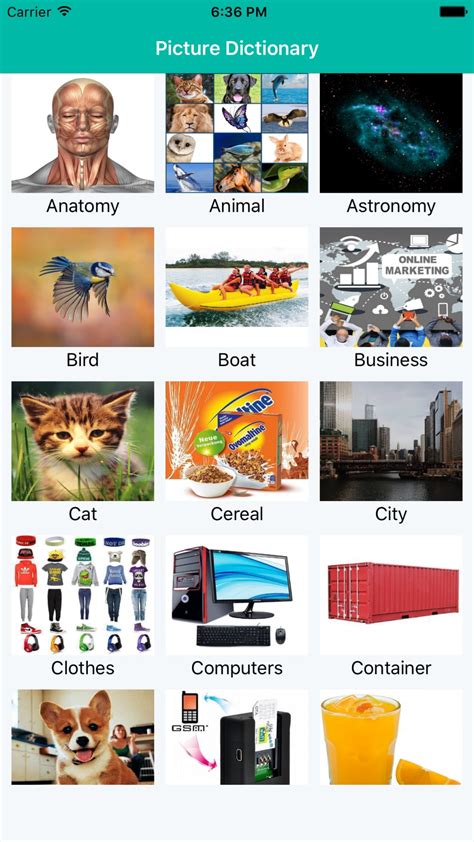 Dictionary with pictures for iPhone - Download