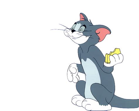 Tom - Tom and Jerry Wallpaper (8965204) - Fanpop