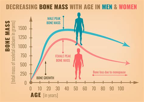 The Menopause and Osteoporosis: What To Do? - Rejuvage