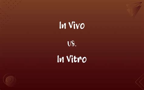 In Vivo vs. In Vitro: Know the Difference