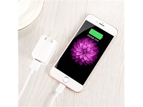 iPad Charger 2.4A 12W & Charging Cable