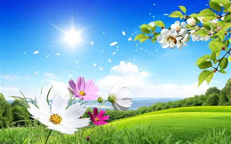 Spring Nature Wallpapers - Top Free Spring Nature Backgrounds - WallpaperAccess