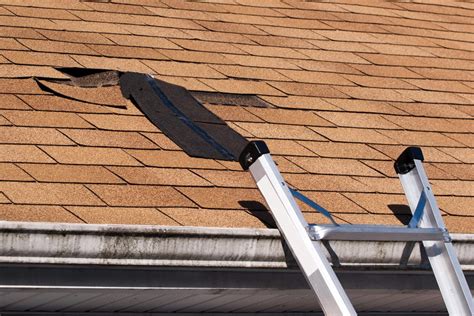 What Are the Most Common Causes of Roof Damage? - Select Construction, Inc.