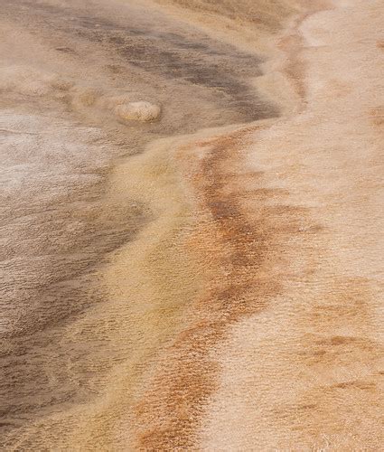 Yellowstone Texture | Hot springs make some interesting colo… | Flickr