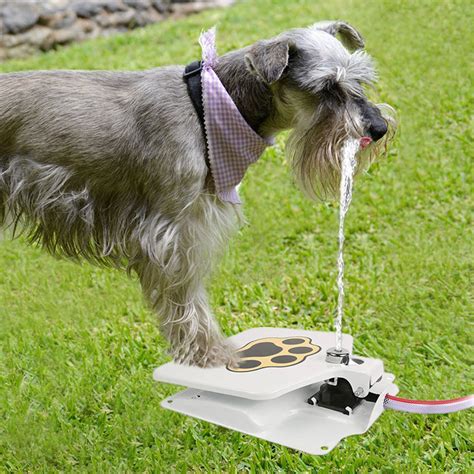 11 Best Outdoor Dog Water Bowls - Outdoor Dog World