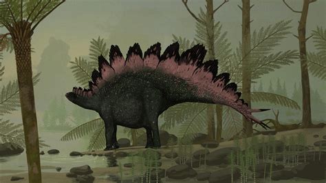 Stegosaurus | Prehistory Revealed Wiki | Fandom