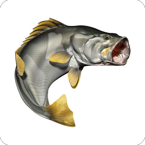 Barramundi – Digital Fish Art