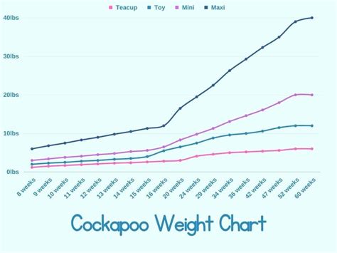 A Comprehensive Cockapoo Size Guide with Growth Charts – AnimKy