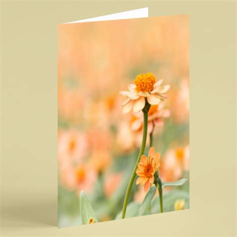 Orange flowers thank you card - Beebooh