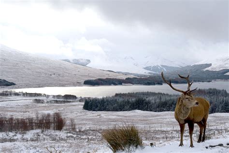 15 breathtaking photos of Scotland’s winter wonderlands - The Blog