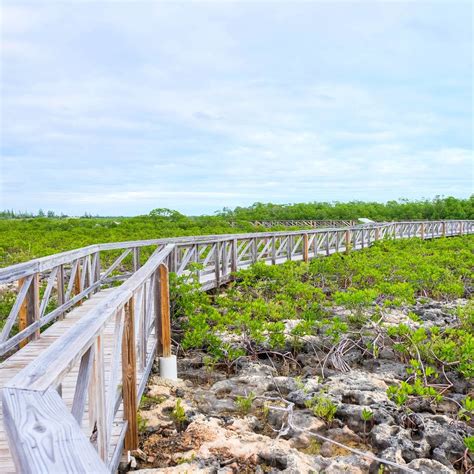 Bonefish Pond National Park - Bahamas National Trust