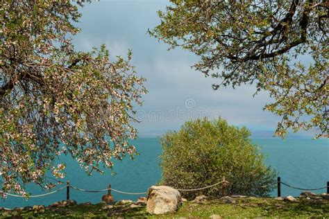 View of Van Lake from Akdamar Island. in Turkey Stock Image - Image of eastern, blue: 122570789