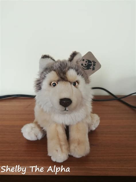 Small wwf wolf plush by ShelbyTheAlpha on DeviantArt