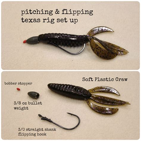 Texas Rig Fishing Tips to Catching More Bass | Bass fishing tips, Fishing tips, Bass fishing lures