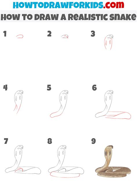 How to Draw a Snake - Easy Drawing Tutorial For Kids