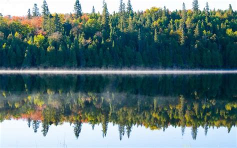 Benson Lake Loop - Peaceful Escape | North Shore Adventure | Cove Point Lodge