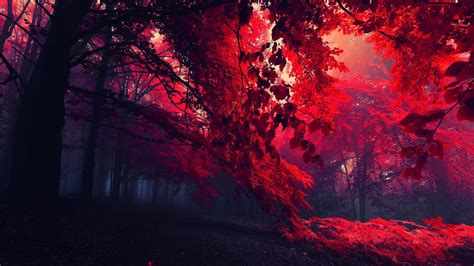 Red Tree Wallpapers - Top Free Red Tree Backgrounds - WallpaperAccess