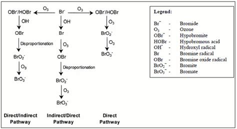 Bromate in Drinking Water consultation document - Canada.ca