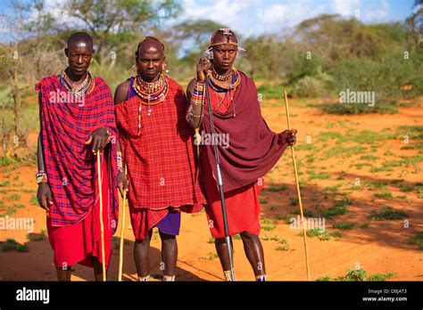 Masai Tribesman traditional clothing outside boma. Selenkay Conservancy area. Kenya, Africa ...