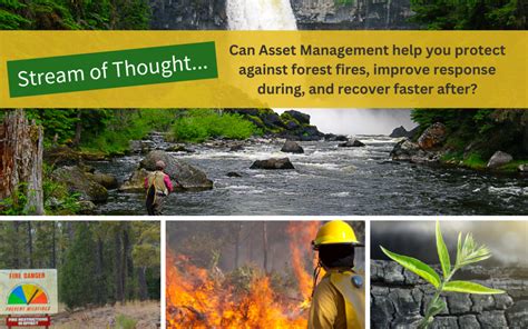 What Role Does Asset Management Play in Wildfire Prevention? - Genesis ...