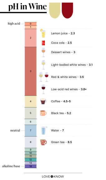 Guide to Wine Acidity & How It Affects Your Tasting Experience | LoveToKnow