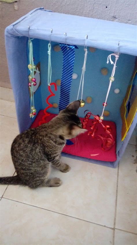Pin by Ysul Eropagnis on Para mi gato | Homemade cat toys, Diy cat toys, Cat diy