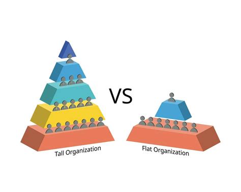 tall and flat organizational structure with wide and small wide spans ...