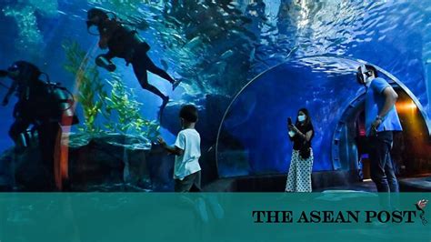 ASEAN Focusing On Domestic Tourism | The ASEAN Post