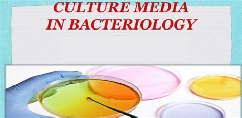 Culture Media For Bacteriology | Attempts: 6741 - Quiz, Trivia & Questions