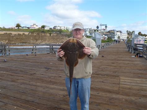 Thornback.Ray_Capitola_2012 - Pier Fishing in California