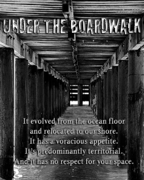 Under The Boardwalk - FilmFreeway