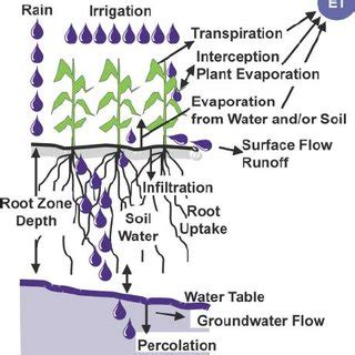 (PDF) Irrigation Efficiency.