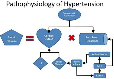 Fig. Pathophysiology of Hypertension | Download Scientific Diagram