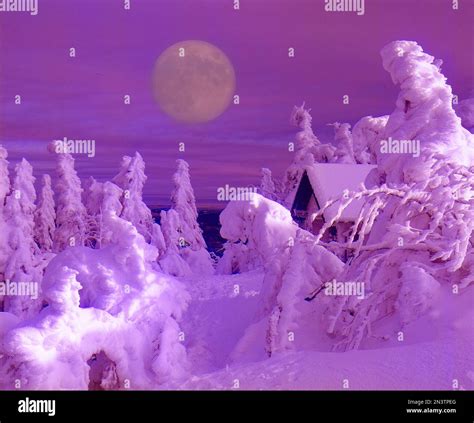 Winter Landscape with Snowy Trees Full Moon Stock Photo - Alamy