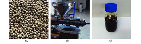 The steps belonging to the extraction of the hemp seed unrefined oil ...