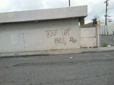 blood gangs graffiti: Tree top piru ( compton , TTP )