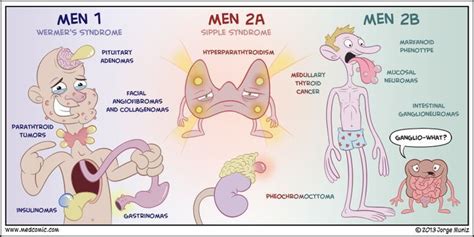 medcomic - Google Search | Medical school studying, Medical school stuff, Nursing mnemonics