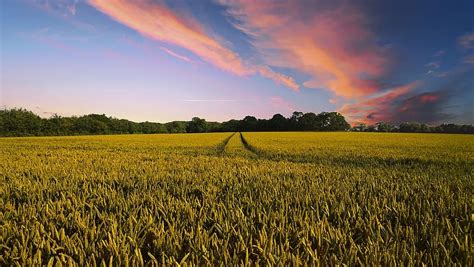 england, countryside, cottage, rural, uk, british, country, garden | Pikist